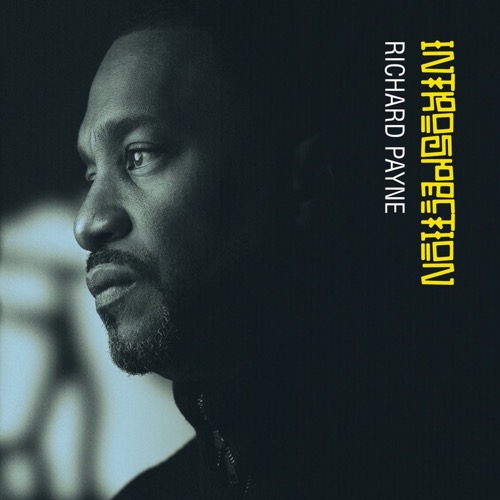 Richard Payne - Introspection (2025)