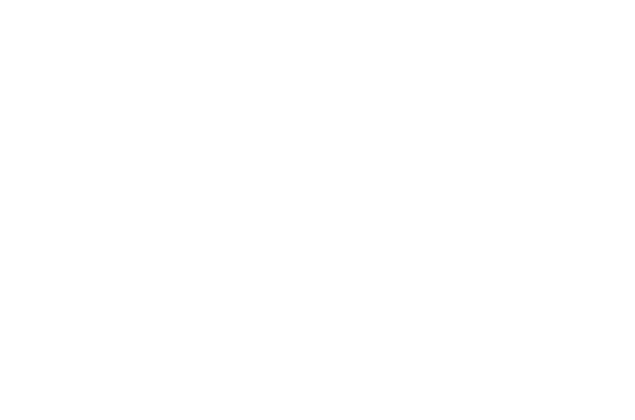 DW Drums
